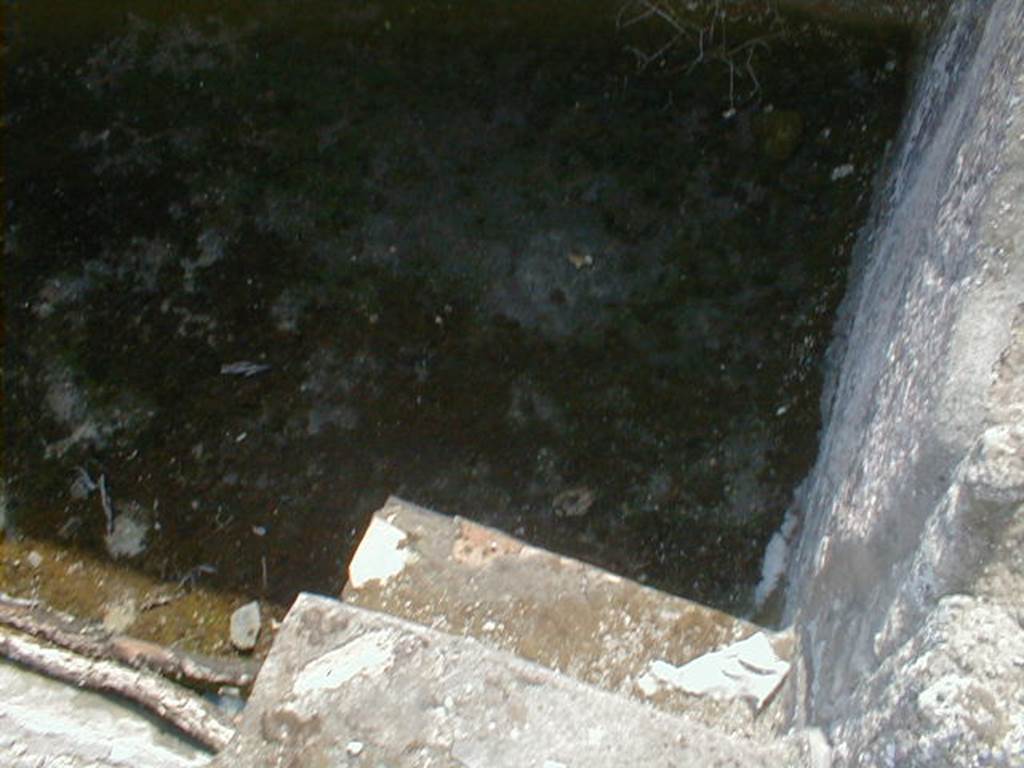 IX.8.6 Pompeii.  September 2004.  Room 31.  Steps into swimming pool.
