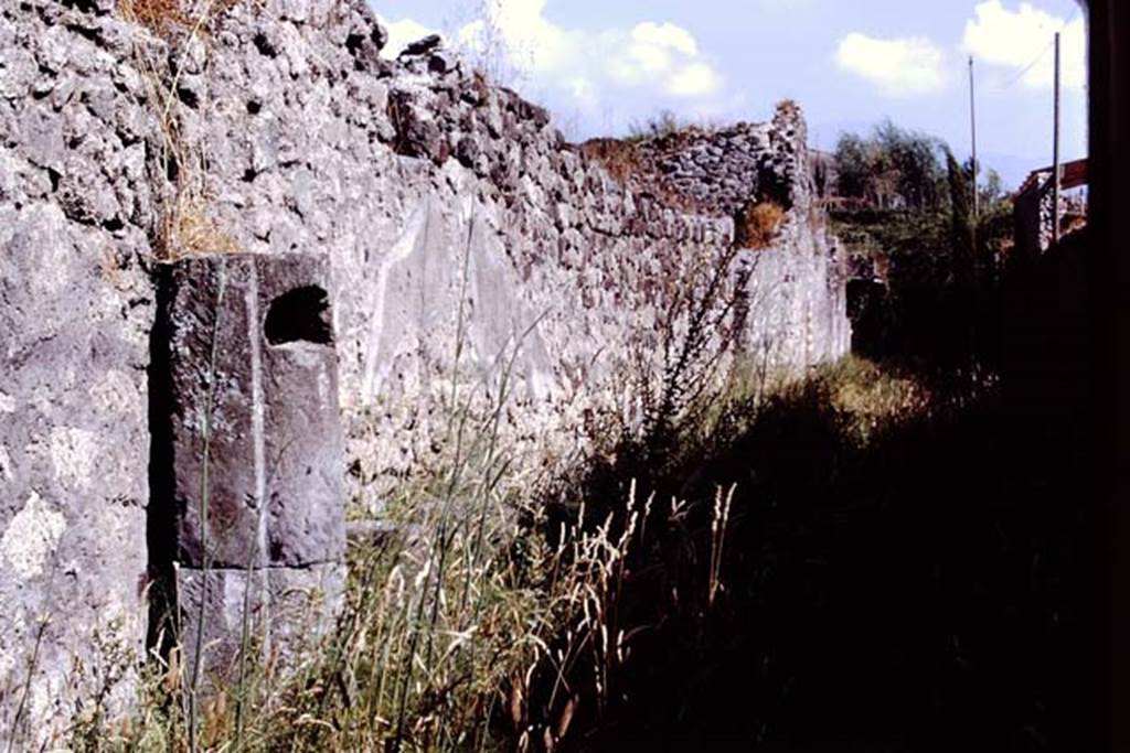 IX.9.1 Pompeii, (side wall). 1978. Roadway, looking south. Photo by Stanley A. Jashemski.   
Source: The Wilhelmina and Stanley A. Jashemski archive in the University of Maryland Library, Special Collections (See collection page) and made available under the Creative Commons Attribution-Non Commercial License v.4. See Licence and use details. J78f0278