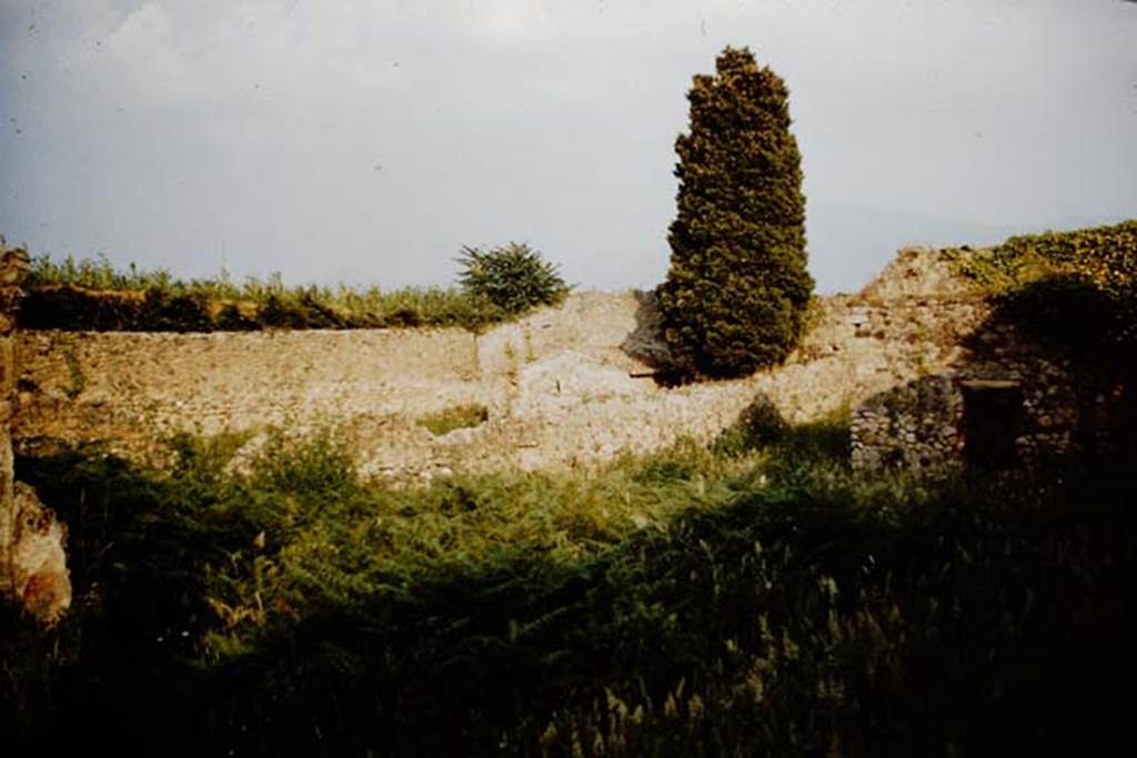 IX.9.4 Pompeii. 1961. Looking south-east across garden towards IX.9.6. Photo by Stanley A. Jashemski.
The doorway to the latrine on the south side of the garden, is on the right. 
Source: The Wilhelmina and Stanley A. Jashemski archive in the University of Maryland Library, Special Collections (See collection page) and made available under the Creative Commons Attribution-Non Commercial License v.4. See Licence and use details.
J61f0658
According to Jashemski –
“Attached to the east wall was a masonry triclinium, now destroyed, unlike the majority at Pompeii for the lectus summus was longer than the lectus imus.
The rectangular table between the couches was covered with a piece of white marble. The couches were finished with red stucco.
Near the west wall of the garden, opposite the triclinium, was a small masonry pulvinate altar. 
Nearby, attached to the west wall was a masonry hearth, protected by a small vault.”
See Jashemski, W. F., 1993. The Gardens of Pompeii, Volume II: Appendices. New York: Caratzas. (p.246).
According to Soprano –
“Il triclinio era addossato al muro orientale del giardino. Eccezionalmente ha il l. summus piu lungo del l. imus, il che si verifica a Pompei, come ho precedentemente notato, solo in un altro case (see I.8.8/9). 
Il piano dei tre letti era inclinato; sul muro di fronte era situato un larario rivestito di stucco attualmente distrutto e, a breve distanza, in un angolo del giardino, stava un piccolo focolare protetto da una volticina.
La mensa, rettangolare, era ricoperta da una lastra di marmo bianco. I tre letti, il muro cui era addossato il l.medius e la mensa erano rivestiti di intonaco rosso, ma di esso non restano oggi che piccole tracce lungo le pareti interne dei tre letti.
See Soprano, P. (1950). I triclini all’aperto di Pompei. (In Pompeiana, raccolta di studi per il secondo centenario degli scavi di Pompei. Napoli, Gaetano Macchiaroli, Editore, P. 303-4, no.20).