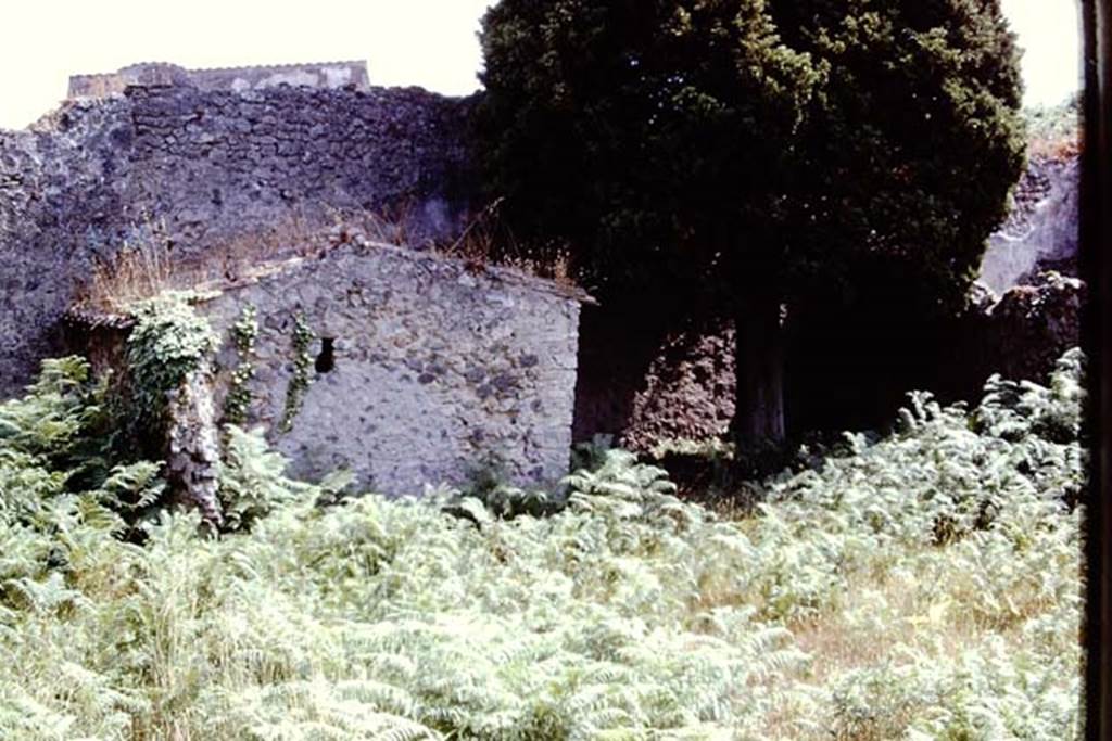 IX.9.6 Pompeii, 1973. Looking south across garden area. Photo by Stanley A. Jashemski. 
Source: The Wilhelmina and Stanley A. Jashemski archive in the University of Maryland Library, Special Collections (See collection page) and made available under the Creative Commons Attribution-Non Commercial License v.4. See Licence and use details. J73f0247

