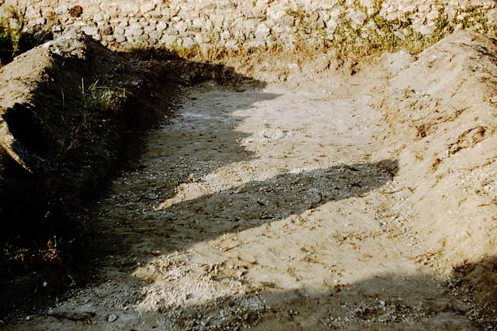 IX.9.6/10 Pompeii. 1961. Looking east in trench where root cavities have been preserved because when the root decayed the lapilli trickled into the cavity. Photo by Stanley A. Jashemski.
Source: The Wilhelmina and Stanley A. Jashemski archive in the University of Maryland Library, Special Collections (See collection page) and made available under the Creative Commons Attribution-Non Commercial License v.4. See Licence and use details.
J61f0811