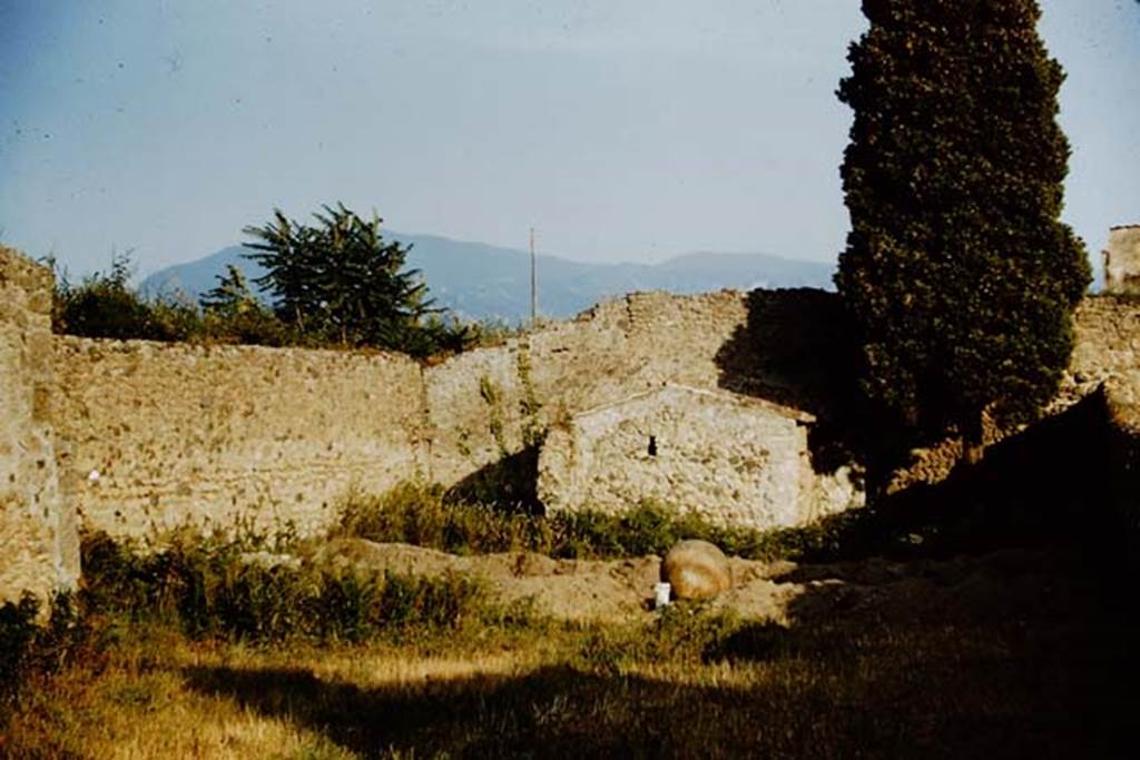 IX.9.6/10 Pompeii. 1961.  Looking south to site of first trench widened to about five feet wide, (approx. 1.52m), east to west across garden area.  Photo by Stanley A. Jashemski.
Source: The Wilhelmina and Stanley A. Jashemski archive in the University of Maryland Library, Special Collections (See collection page) and made available under the Creative Commons Attribution-Non Commercial License v.4. See Licence and use details.
J61f0812