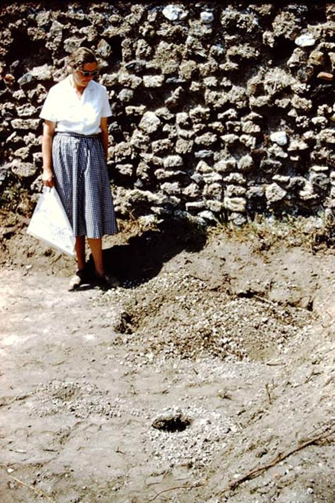 IX.9.6/10 Pompeii. 1961. Wilhelmina next to west wall.   Photo by Stanley A. Jashemski.
Source: The Wilhelmina and Stanley A. Jashemski archive in the University of Maryland Library, Special Collections (See collection page) and made available under the Creative Commons Attribution-Non Commercial License v.4. See Licence and use details.
J61f0822