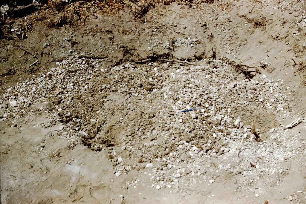 IX.9.6/10 Pompeii. 1961. Cavity. Photo by Stanley A. Jashemski.
Source: The Wilhelmina and Stanley A. Jashemski archive in the University of Maryland Library, Special Collections (See collection page) and made available under the Creative Commons Attribution-Non Commercial License v.4. See Licence and use details.
J61f0830