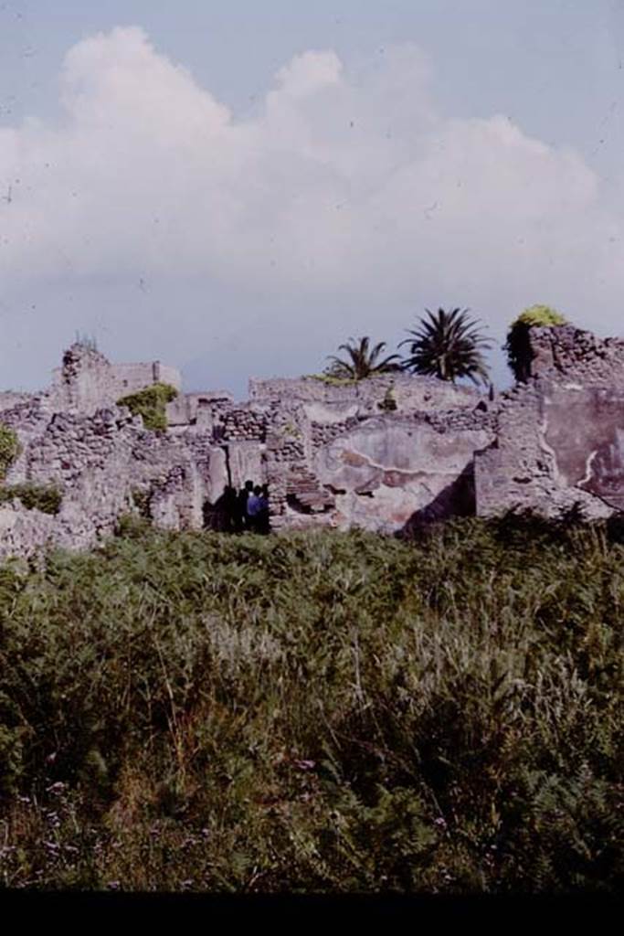 IX.9.6/10 Pompeii. 1964. Looking north across garden completely covered with bracken, before clearing.   Photo by Stanley A. Jashemski.
Source: The Wilhelmina and Stanley A. Jashemski archive in the University of Maryland Library, Special Collections (See collection page) and made available under the Creative Commons Attribution-Non Commercial License v.4. See Licence and use details.
J64f1297
