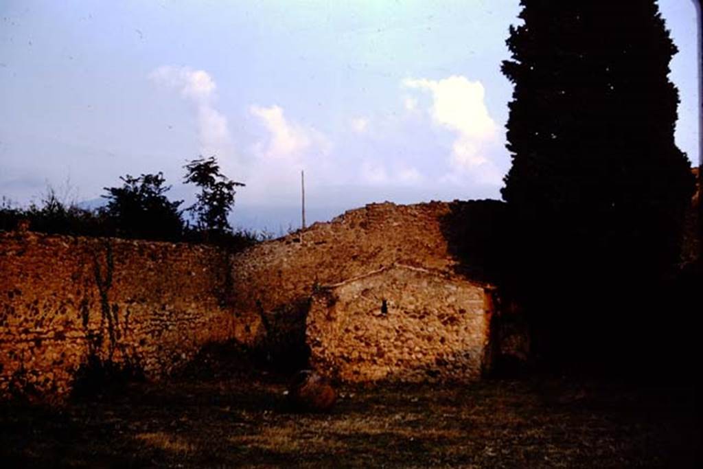 IX.9.6/10 Pompeii. 1964. Looking south at garden area after clearing.  Photo by Stanley A. Jashemski.
Source: The Wilhelmina and Stanley A. Jashemski archive in the University of Maryland Library, Special Collections (See collection page) and made available under the Creative Commons Attribution-Non Commercial License v.4. See Licence and use details.
J64f1230