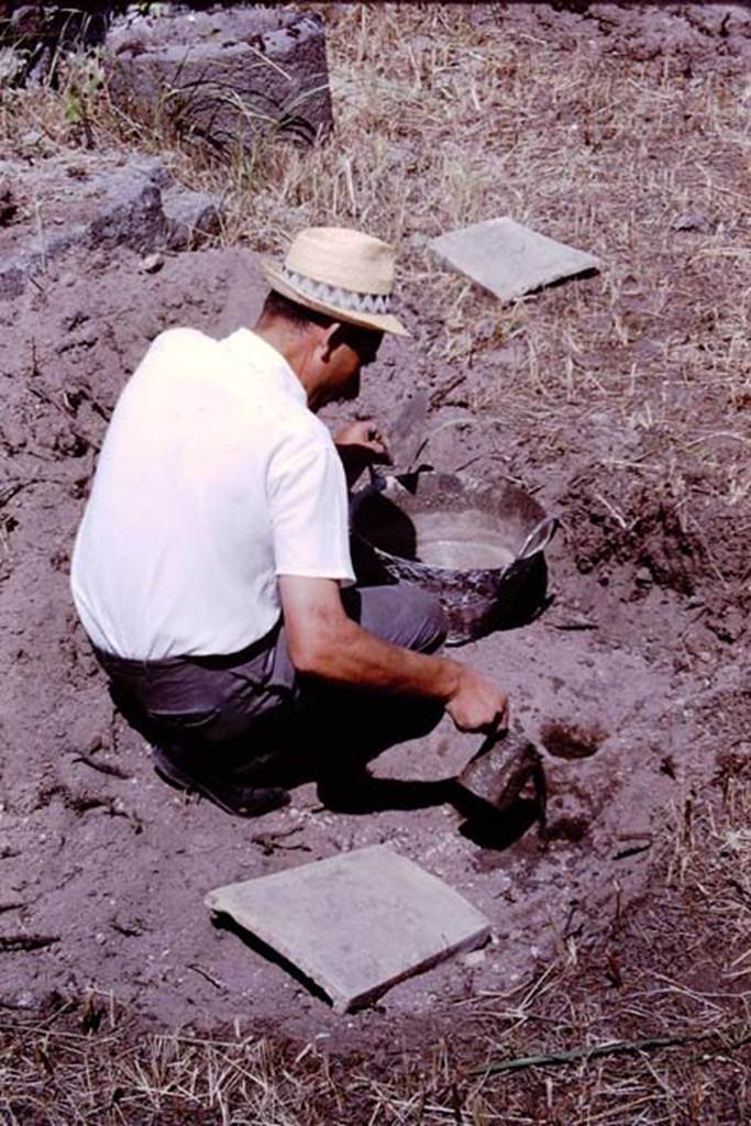 IX.9.6/10 Pompeii. 1964. Pouring in the cement to make the plaster-cast. After three days, the soil was removed from around the filled root cavity, and the plaster-cast of an ancient  vine root could be seen. Photo by Stanley A. Jashemski.
Source: The Wilhelmina and Stanley A. Jashemski archive in the University of Maryland Library, Special Collections (See collection page) and made available under the Creative Commons Attribution-Non Commercial License v.4. See Licence and use details.
J64f1274
