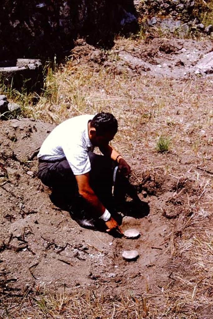 IX.9.6/10 Pompeii. 1964. Gently removing the soil from around them. Photo by Stanley A. Jashemski.
Source: The Wilhelmina and Stanley A. Jashemski archive in the University of Maryland Library, Special Collections (See collection page) and made available under the Creative Commons Attribution-Non Commercial License v.4. See Licence and use details.
J64f2043