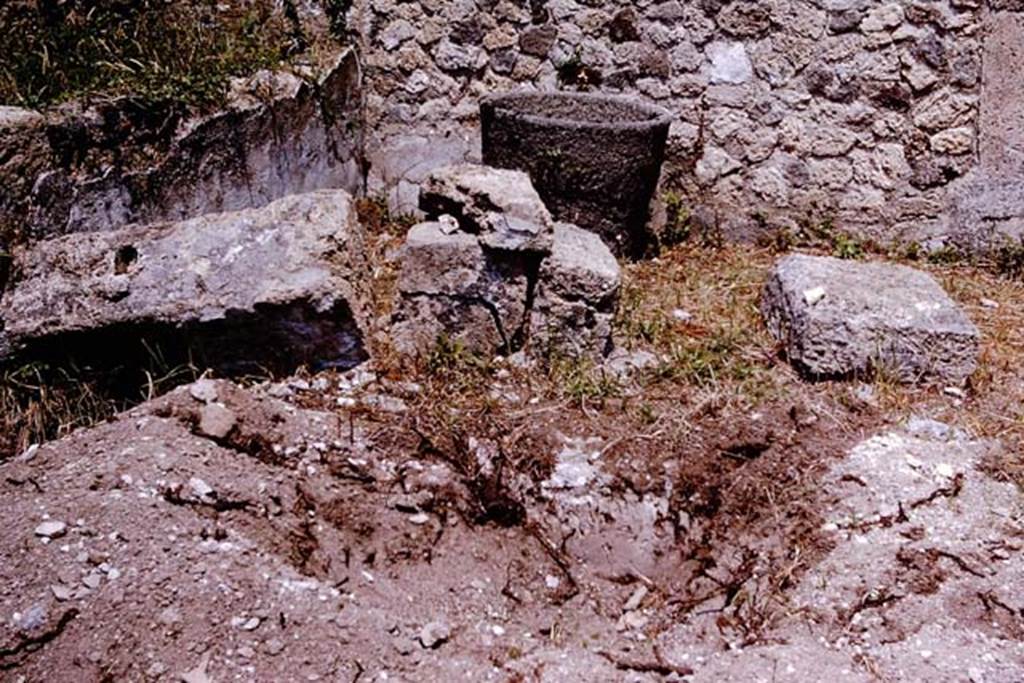 IX.9.6/10 Pompeii. 1964. North-west corner of garden/vineyard. Photo by Stanley A. Jashemski.
Source: The Wilhelmina and Stanley A. Jashemski archive in the University of Maryland Library, Special Collections (See collection page) and made available under the Creative Commons Attribution-Non Commercial License v.4. See Licence and use details.
J64f2046