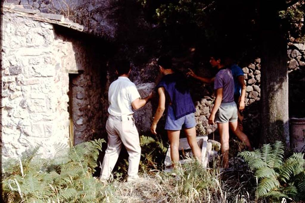 IX.9.10 Pompeii. 1966. Removing the items for safekeeping. Photo by Stanley A. Jashemski. 
Source: The Wilhelmina and Stanley A. Jashemski archive in the University of Maryland Library, Special Collections (See collection page) and made available under the Creative Commons Attribution-Non Commercial License v.4. See Licence and use details.
J66f0323