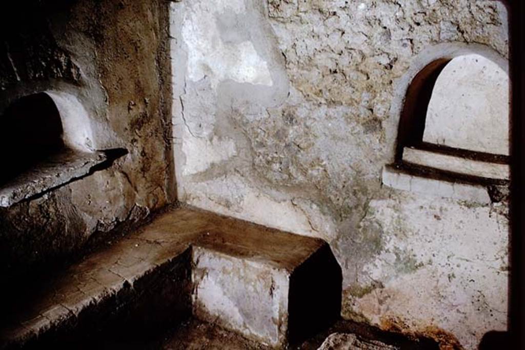 IX.9.10 Pompeii. 1966.  North-east corner with two of the niches and a masonry bench.  Photo by Stanley A. Jashemski.
Source: The Wilhelmina and Stanley A. Jashemski archive in the University of Maryland Library, Special Collections (See collection page) and made available under the Creative Commons Attribution-Non Commercial License v.4. See Licence and use details.
J66f0345