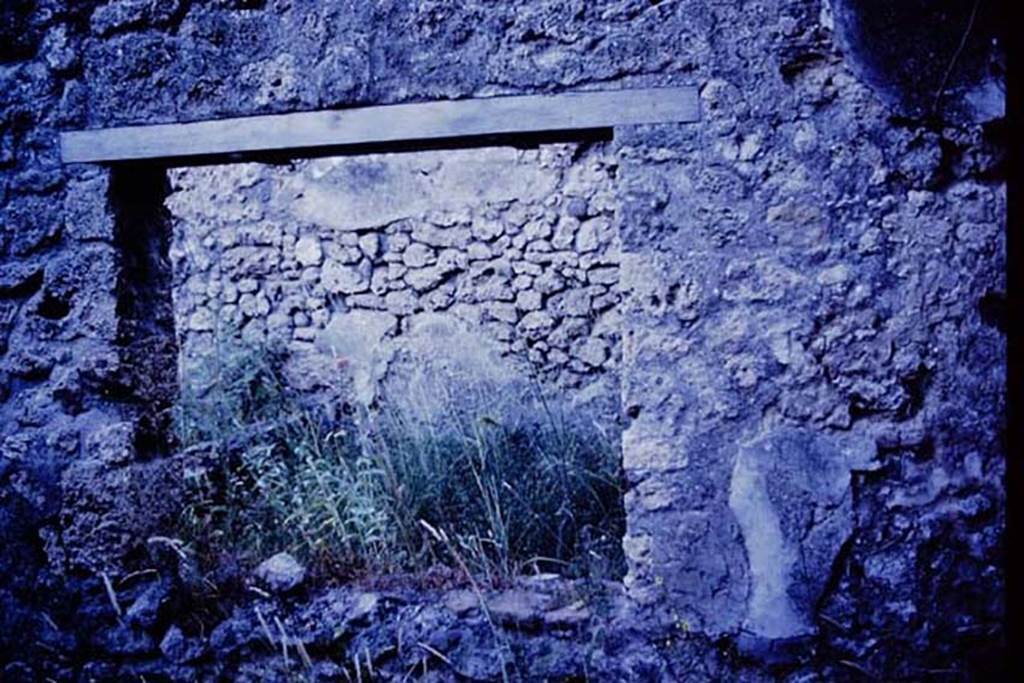 IX.9.11 Pompeii, 1978. Looking through window in south wall of triclinium onto garden area. Photo by Stanley A. Jashemski.   
Source: The Wilhelmina and Stanley A. Jashemski archive in the University of Maryland Library, Special Collections (See collection page) and made available under the Creative Commons Attribution-Non Commercial License v.4. See Licence and use details.
J78f0283