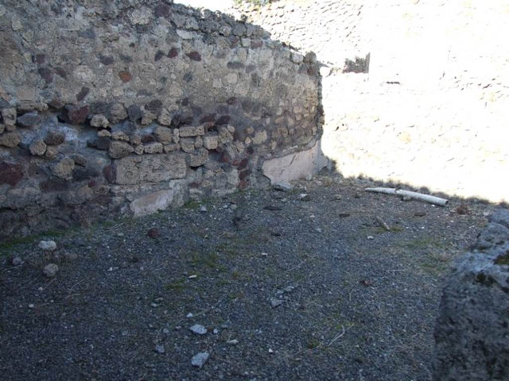 IX.9.a Pompeii.  March 2009.   Looking north east across Triclinium.
