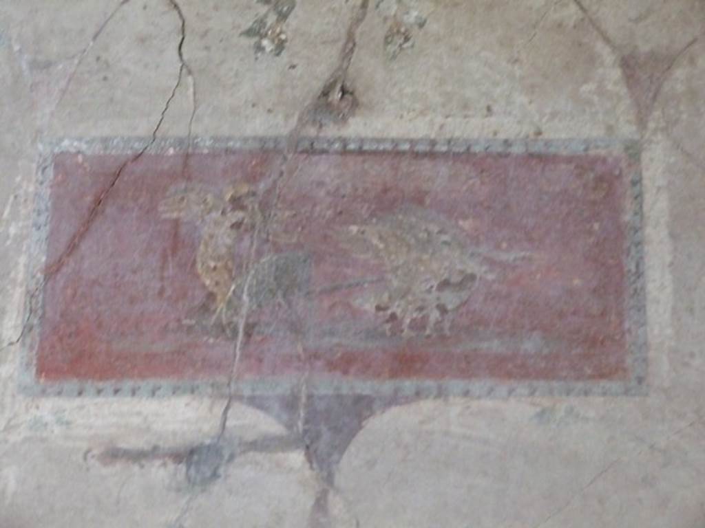 IX.9.c Pompeii. March 2009. Painted panel of cupid on a chariot being pulled by swans, from upper centre of west wall of cubiculum.