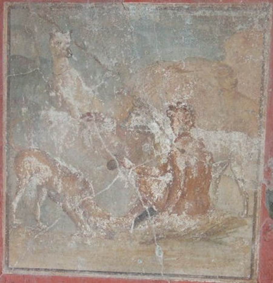 IX.9.c Pompeii. December 2005. Room in north-west corner of the peristyle. Wall painting of hunter sitting with dogs.