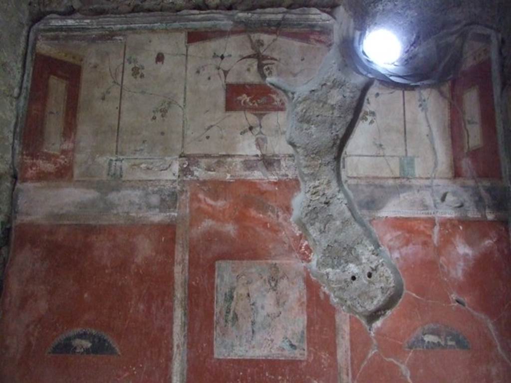 IX.9.c Pompeii. March 2009. Upper east wall of cubiculum.  According to NdS, the frieze with a white background was very prettily painted with elegant vine stems. In the centre, on a red background (0.16 high x 0.32 wide) was a painting of a cupid in a chariot pulled by swans. On the west wall the cupid was standing in the chariot guiding the swans. In this picture on the east wall, the cupid had fallen from the chariot.