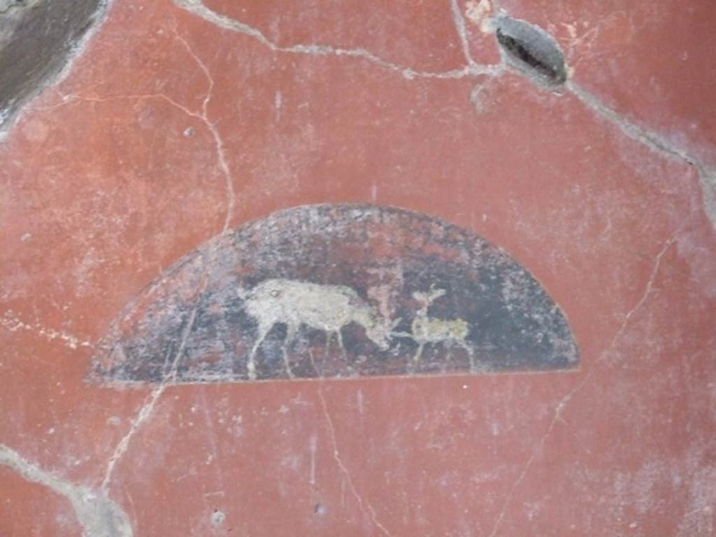 IX.9.c Pompeii. March 2009. Painting from east wall of cubiculum, south end. Semi-circular painted panel with animals inside.