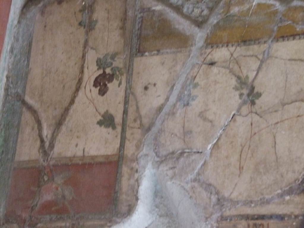 IX.9.c Pompeii. March 2009. Detail from upper south wall of cubiculum at east end.