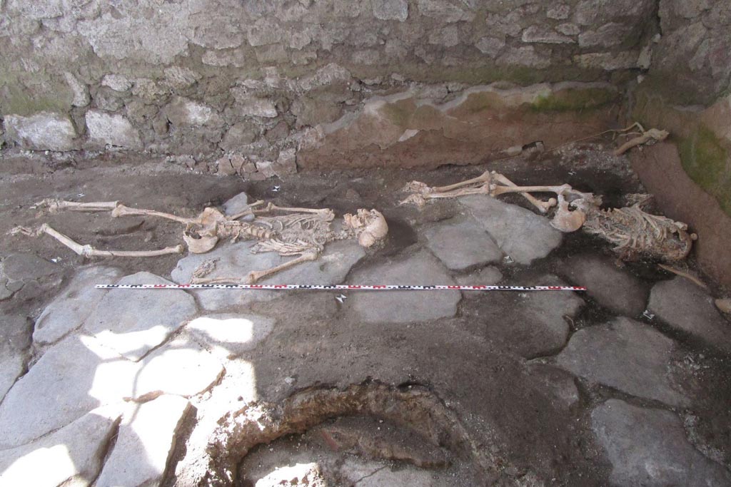 IX.10.1 Pompeii. May 2023. Room 4. Skeletons of individual 1 (left) and individual 2 (right) on the paved floor. 
A circular cut around which the paving stones are arranged, suggests the presence of an original millstone removed in modern times.
IX.10.1 Pompei. Maggio 2023. Camera 4. Scheletri dell'individuo 1 (a sinistra) e dell'individuo 2 (a destra) sulla pavimentazione.
Un taglio circolare attorno al quale sono disposte le pietre, suggerisce la presenza di una macina originale rimossa in tempi moderni.
Photograph © Parco Archeologico di Pompei.
Vedi/See Ri-scavare Pompei: nuovi dati interdisciplinari dagli ambienti indagate a fine ‘800 di Regio IX, 10.1.4. E-journal 2, Scavi di Pompeii, 29.5.2023, p. 7ff, fig. 9. E-journal on PAP web site