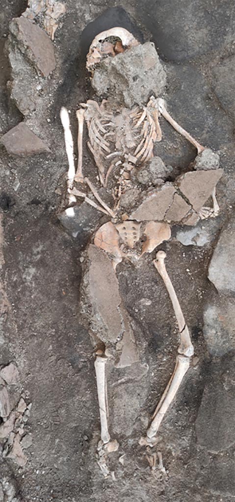 IX.10.1 Pompeii. May 2023. Skeleton of individual 1 with collapsed material covering some parts. 
Individual 1, probably female, lay in dorsal recumbency in direct contact with the paved floor. The skeletonized body was in direct contact with the heavy blocks of the collapsed floor and white pumice lapilli, in the total absence of the ash deposit, probably removed in the previous excavation operations. Four large blocks in particular seem to have had a direct impact on the body, at the level of the skull/cervical spine, right ribcage, left upper limb and right lower limb. The skull was turned to the right side while the spine and ribcage were flattened to less than 2 cm in some points. Near the left hand, in which they were probably held and from which they slipped, two coins were found, probably two asses, whose minting is yet to be precisely identified. It is clear how these indicators, together with the very numerous fractures at the level of almost all of the skeletal elements, are the consequence of the strong traumas on the body of the individual at the time of death, but also of the taphonomic factors which occurred subsequently due to the pressure exerted by the different weights of the overlying elements, together with the irregular profile of the floor level.
IX.10.1 Pompei. Maggio 2023. Scheletro dell'individuo 1 con materiale collassato che copre alcune parti.
L’individuo 1, di probabile sesso femminile, giaceva in decubito dorsale a diretto contatto con la pavimentazione basolata. Il corpo scheletrizzato era a diretto contatto con i pesanti blocchi del solaio collassato e lapilli pomicei bianchi, in totale assenza del deposito cineritico, verosimilmente asportato nelle operazioni di scavo precedenti. Quattro grandi blocchi in particolare sembrano avere avuto un impatto diretto con il corpo, a livello di cranio/rachide cervicale, emicostato destro, arto superiore sinistri e arto inferiore destro. Il cranio era voltato sul lato destro mentre la colonna e la cassa toracica, erano appiattiti fino a misurare in alcuni punti meno di 2 cm. Vicino alla mano sinistra, in cui erano probabilmente trattenute e da cui sono scivolate, sono state rinvenute due monete, verosimilmente due assi, il cui conio è ancora da identificare con precisione. È chiaro come tali indicatori, insieme alle numerosissime fratture a livello della quasi totalità degli elementi scheletrici, siano conseguenza dei forti traumi sul corpo dell’individuo al momento della morte, ma anche dei fattori tafonomici intervenuti successivamente a causa della pressione esercitata dal peso differenziato degli elementi sovrastanti, unitamente al profilo irregolare del piano pavimentale.
Photograph © Parco Archeologico di Pompei.
Vedi/See Ri-scavare Pompei: nuovi dati interdisciplinari dagli ambienti indagate a fine ‘800 di Regio IX, 10.1.4. E-journal 2, Scavi di Pompeii, 29.5.2023, p. 7-8, fig. 10. E-journal on PAP web site