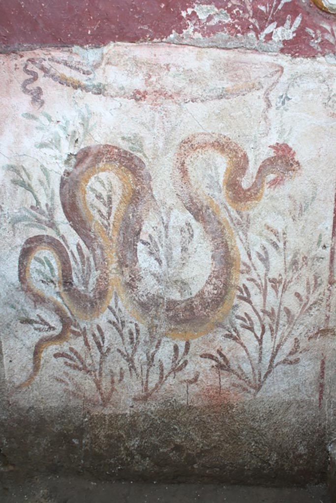 IX.10.1 Pompeii. September 2023. Lararium and altar recently found in room 12.
Snake in the lower register.
On the left side there is a fresco of a crested and bearded serpent heading towards the altar.
Serpente nel registro inferiore.
Sulla sinistra è affrescato un serpente crestato e barbato che si dirige verso l’altare.
See PAP e-journal 6, 28.09.2023, p. 65, fig. 12. Download: PAP e-journals 2023 collection volumes 01-09 
Photograph © Parco Archeologico di Pompei.