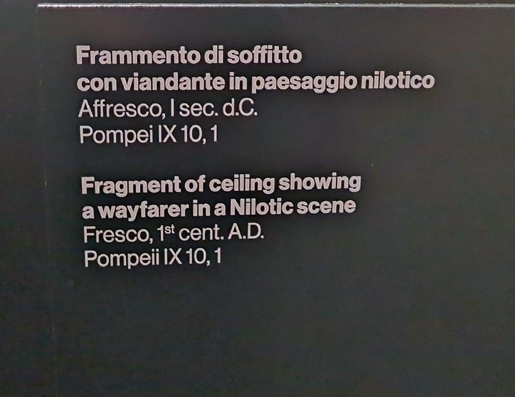 IX.10.1 Pompeii. March 2024. Information card for fragment of ceiling with painting of a Nilotic scene.
On display in an exhibition in the Palaestra entitled –
“L’altra Pompei, vite comuni all’ombra del Vesuvio”. Photo courtesy of Giuseppe Ciaramella.