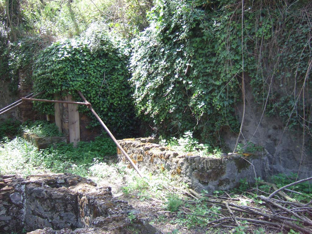IX.10.2 Pompeii. May 2006. Rectangular water basin (right) on west wall of atrium 2.
There is a laundry set up in the atrium of house number two, with work benches and tubs far washing and dying clothes.
See PAP New excavations in Regio IX 
Si tratta di una fullonica (lavanderia) impiantata nell'atrio dell'abitazione al civico 2, con banconi da lavoro e vasche per il lavaggio e la tintura degli abiti.
Vedi PAP Nuovi scavi della Regio IX