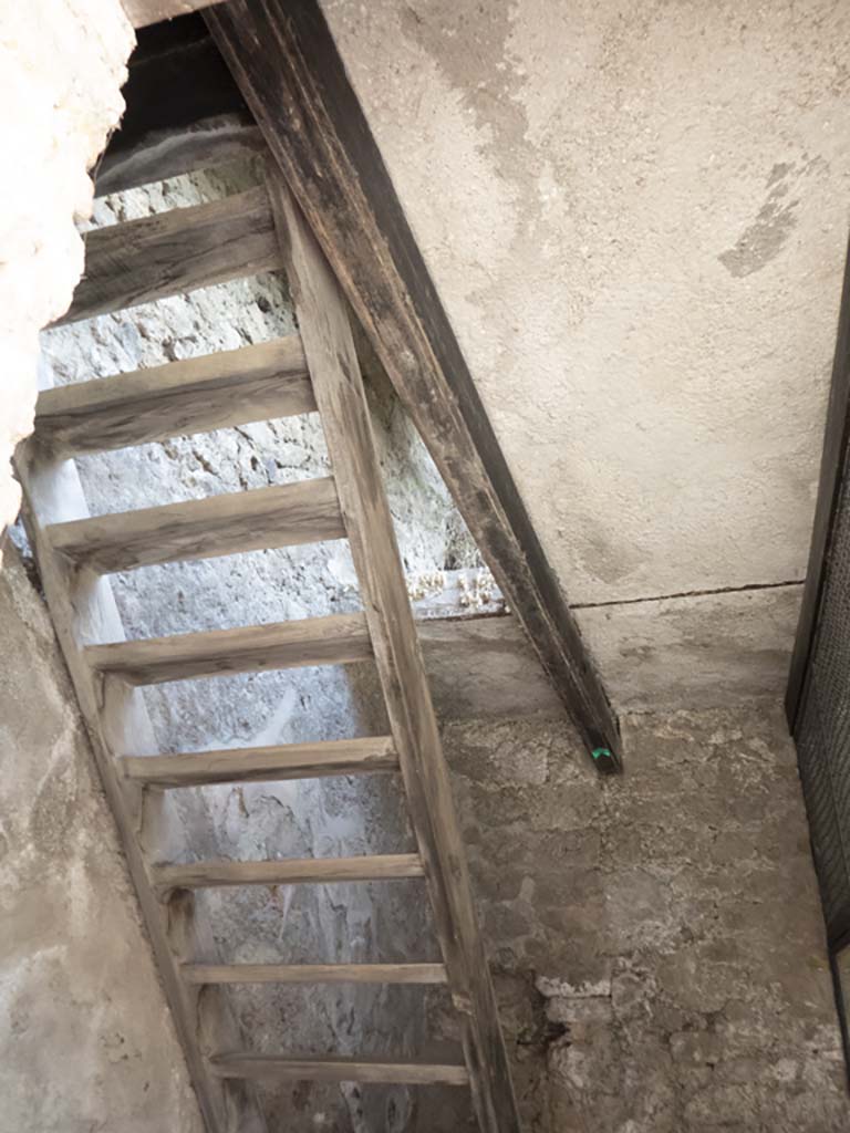 IX.11.2 Pompeii. September 2017. Detail of upper ladder and ceiling.
Foto Annette Haug, ERC Grant 681269 DÉCOR.