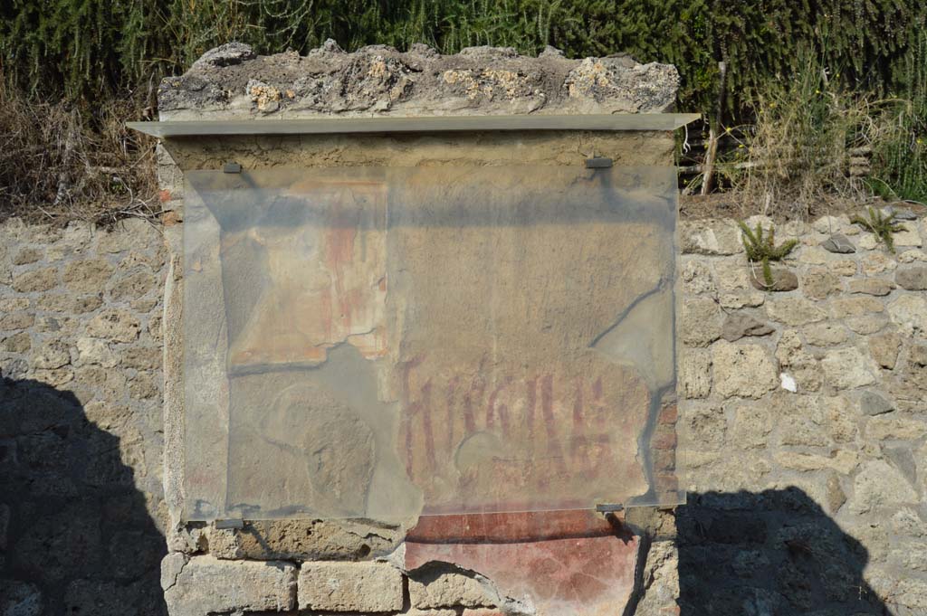 IX.11.7 Pompeii. October 2017. 
Pilaster on east side (right) of doorway, with remaining painting of Hercules and graffiti between doorways to IX.11.7 and IX.11.8. 
Foto Taylor Lauritsen, ERC Grant 681269 DÉCOR.