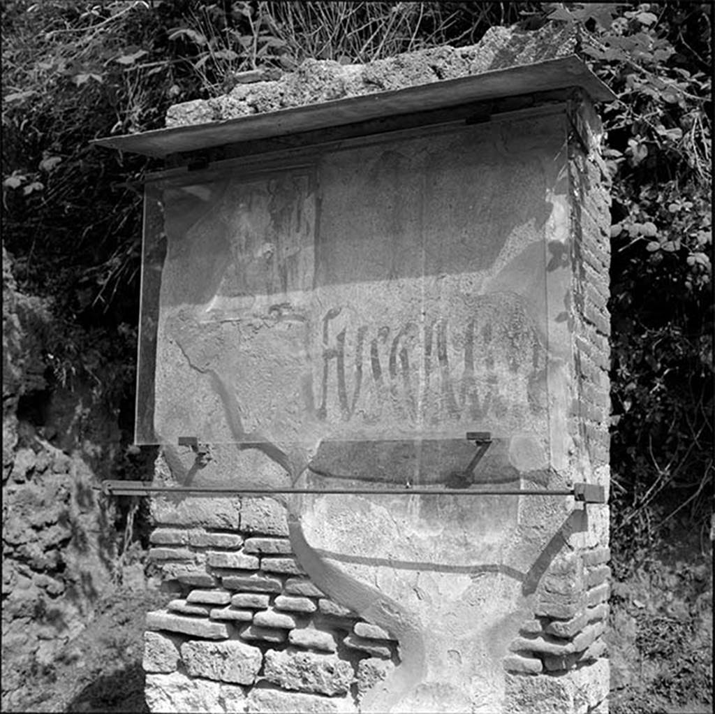 IX.11.7 Pompeii. Graffiti and painting on front pilaster between IX.11.7 and IX.11.8, c.1974.
DAIR 74.394. Photo © Deutsches Archäologisches Institut, Abteilung Rom, Arkiv.