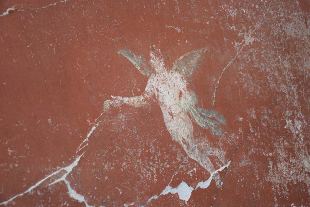 IX.12.6 Pompeii. February 2017. 
Room “m”, painting of flying figure from west wall at north end in north-west corner. Photo courtesy of Johannes Eber.