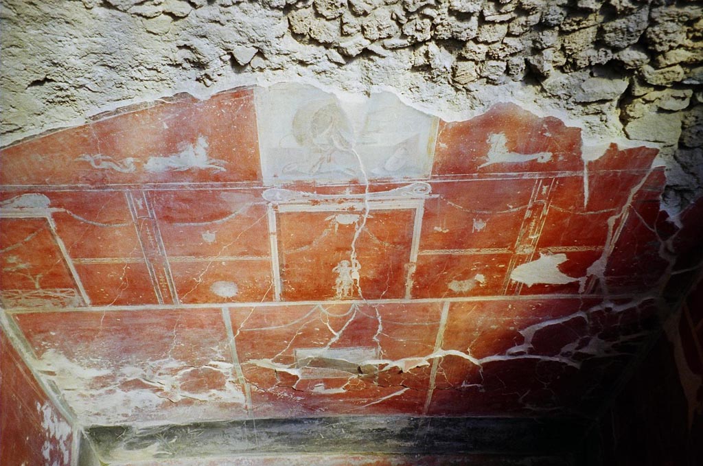 IX.12.9 Pompeii. May 2010. Room 3, east side. Photo courtesy of Rick Bauer.