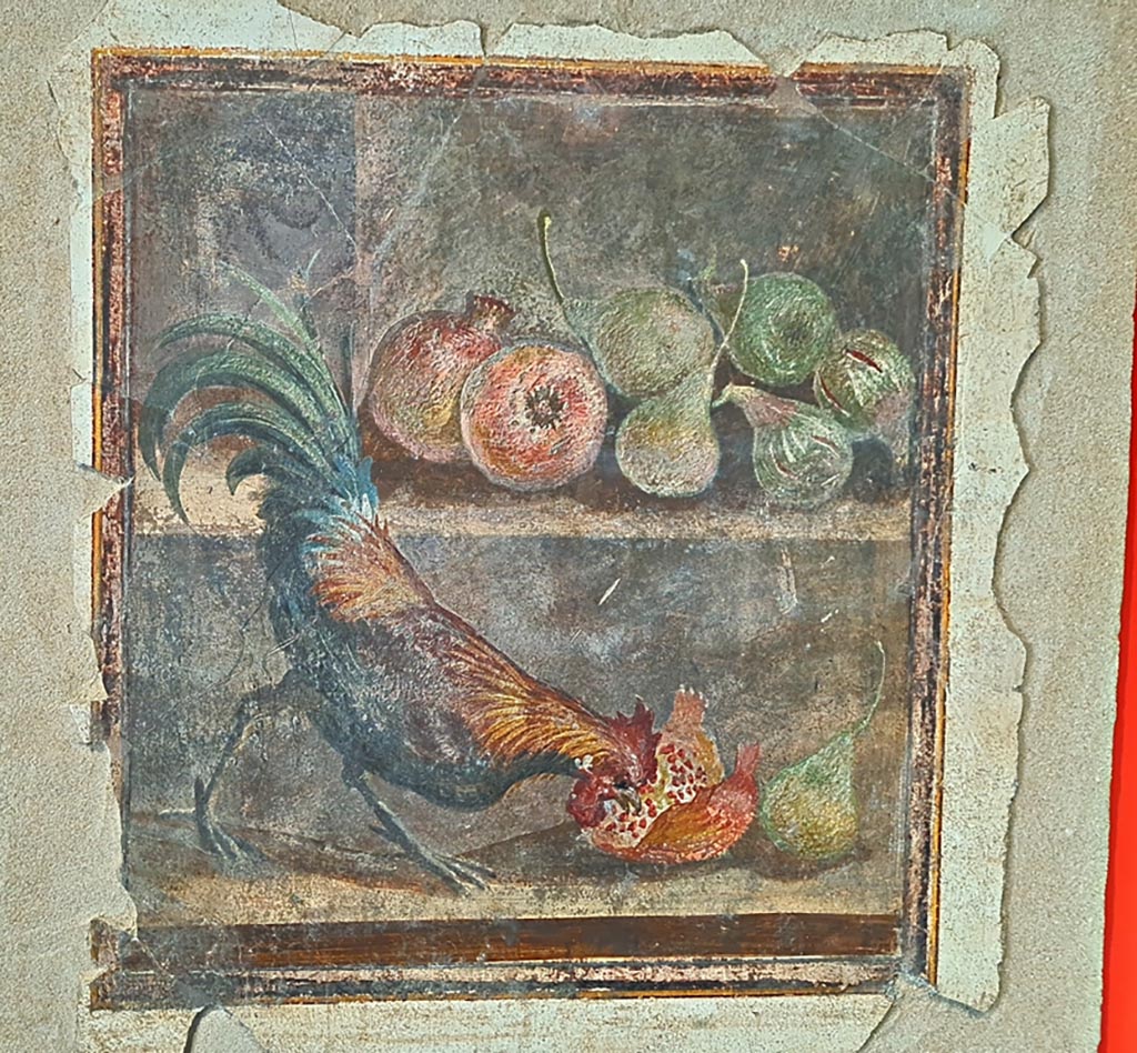 IX 12,9 Pompeii. March 2024. Wall painting showing cockerel, pomegranates, pears and figs. PAP inv. 86719.
On display in exhibition “L’altra Pompei, vite comuni all’ombra del Vesuvio” (“The other Pompeii, common lives in the shadow of Vesuvius.”)
Photo courtesy of Giuseppe Ciaramella.