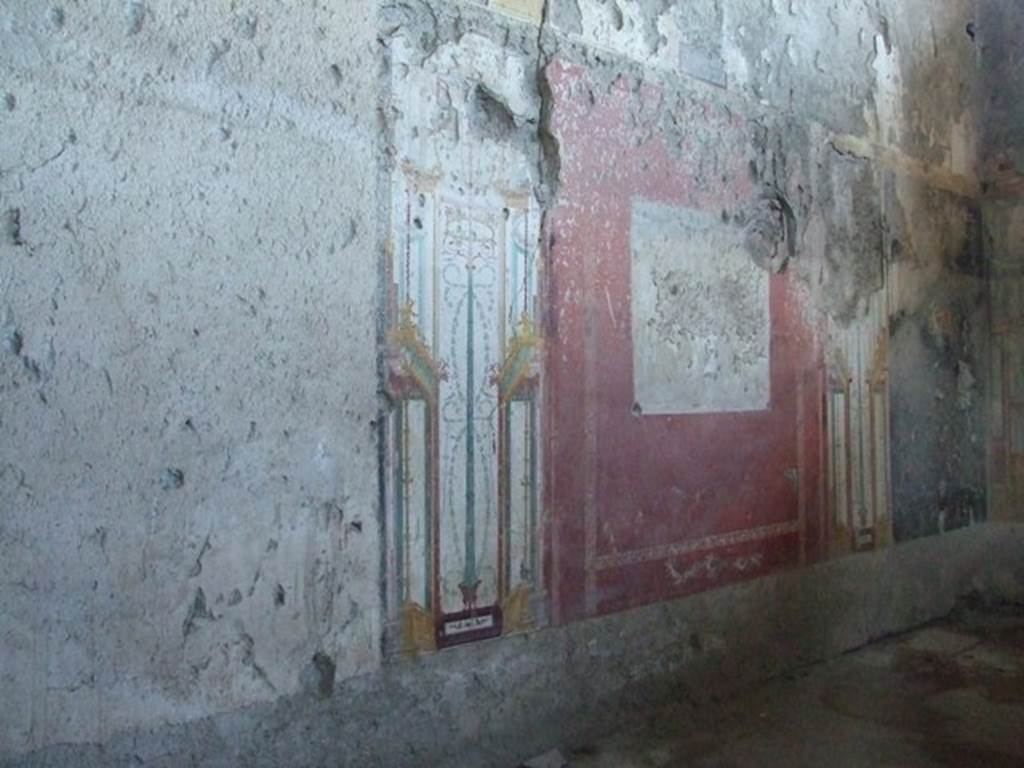 IX.12.9 Pompeii. March 2009. Room “u”, north wall. The unfinished north wall in the oecus or large sitting room. 
The central panel of the wall contains only a traced outline of a scene that has not yet been painted. 
Paint pots and the remains of brushes were also found abandoned here. This gave the house its name.