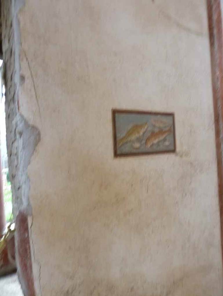 IX.12.9 Pompeii. May 2010. 
Room 13, south wall on west side of doorway to north portico 5b. Painting of fishes.