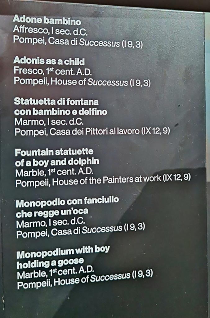March 2024. 
Information description card from exhibition in the Palaestra. Photo courtesy of Giuseppe Ciaramella.