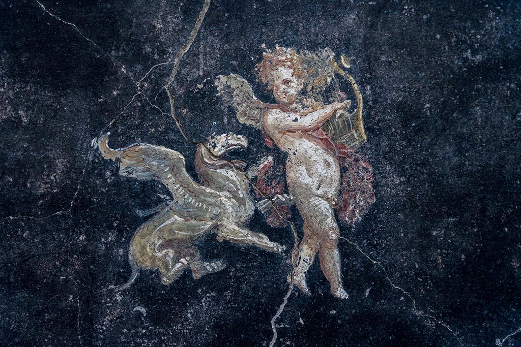IX.12.A/IX.12.9 Pompeii. July 2024. Room 18, painting of Cupid from north wall at west end. Photo courtesy of Johannes Eber.
