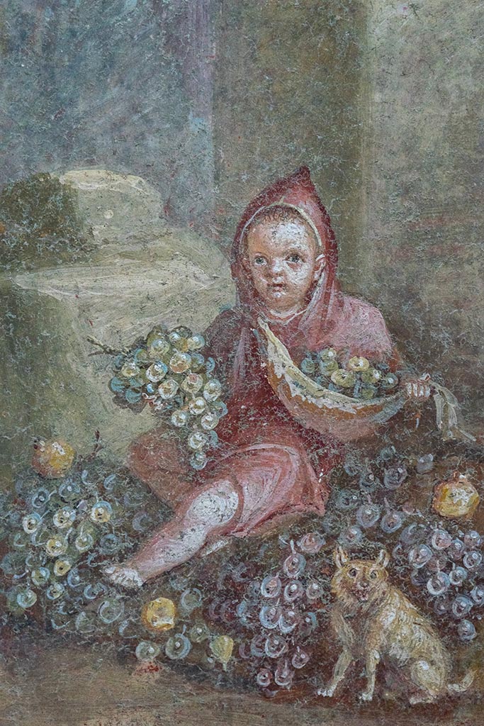 IX.12.A/IX.12.9 Pompeii. July 2024. Photo courtesy of Johannes Eber.
Room 18, detail of painting in east wall, painting of a boy in a cloak with grapes, pomegranates and a dog. 
A Dionysian apotheosis? A memorial to the deceased son of the owner?
See E-Journal 14, 24.05.24 Regio IX, 12: Insula dei Casti Amanti, Casa dei Pittori al lavoro, Ambiente 18: nota preliminare, p. 21, fig. 36.