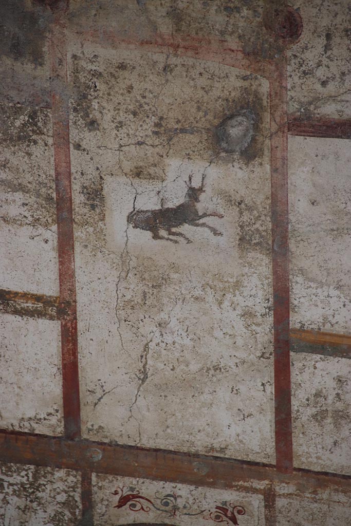 IX.12.9 Pompeii. October 2024. 
Room 13, detail from centre of upper north wall. Photo courtesy of Klaus Heese.