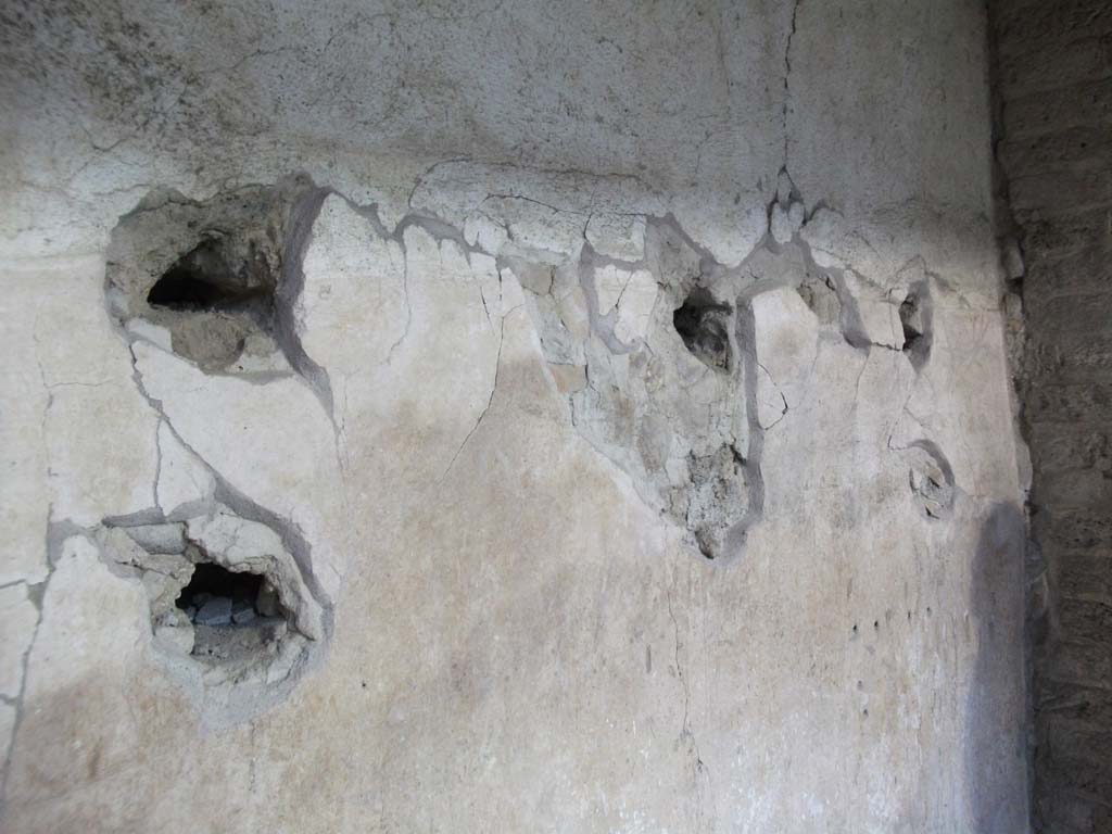 IX.12.9 Pompeii. May 2010. Detail of wall of east portico 5c, on the south side of room 1.