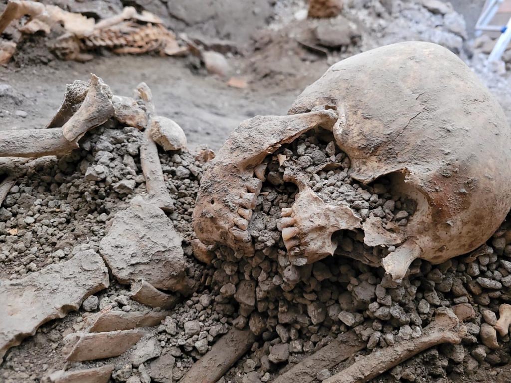 IX.12.B/IX.12.9 Pompeii. May 2023. Room “a”, skull of victim 2.
Cranio della vittima 2.
Photograph © Parco Archeologico di Pompei.
