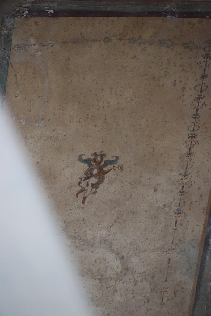 IX.12.B Pompeii. October 2024. 
Room 10, detail from centre of panel on north wall. Photo courtesy of Klaus Heese.