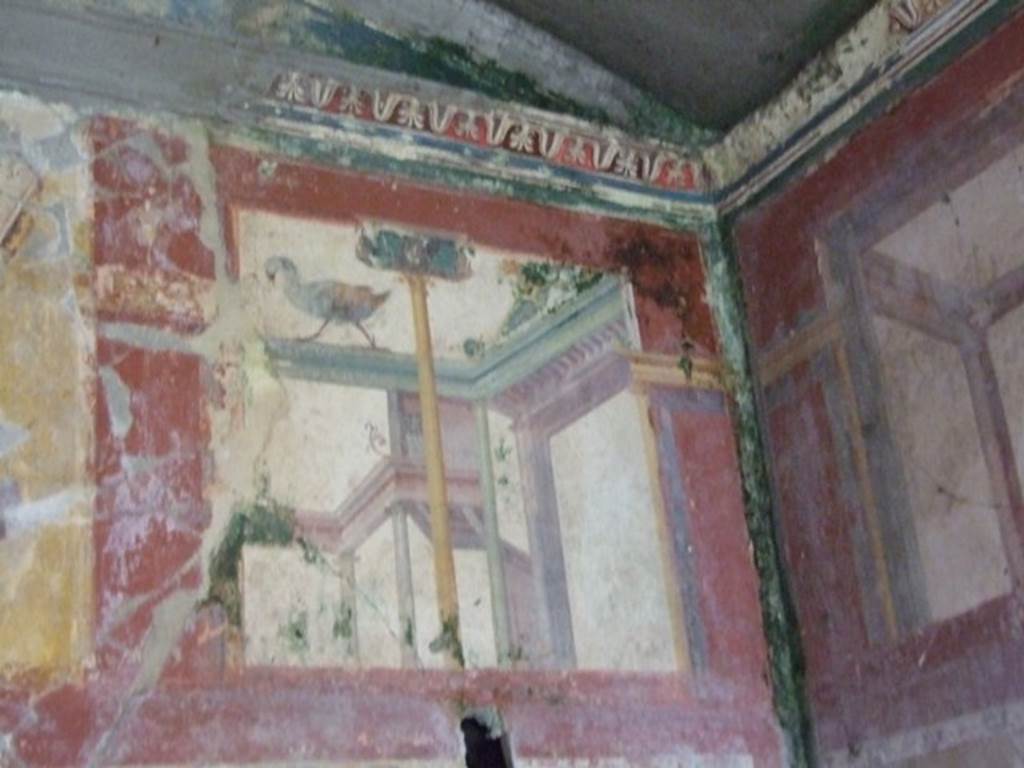 IX.13.1-3 Pompeii. March 2009. Room 17, architectural painting with bird on upper south wall.