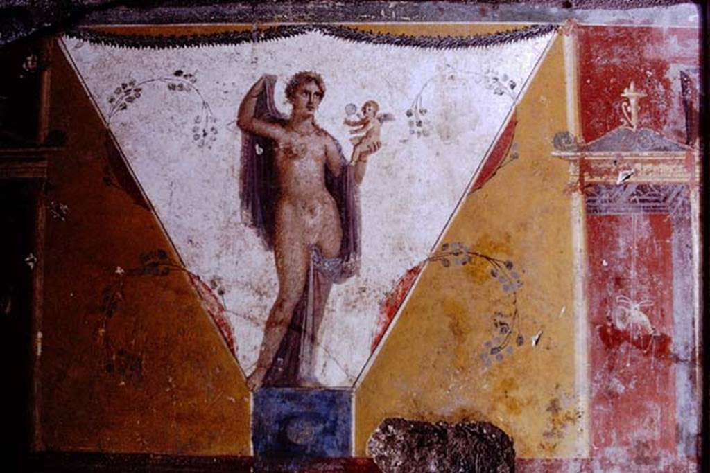 IX.13.1-3 Pompeii. 1972. Room 17, painted figure from west wall. Photo by Stanley A. Jashemski. 
Source: The Wilhelmina and Stanley A. Jashemski archive in the University of Maryland Library, Special Collections (See collection page) and made available under the Creative Commons Attribution-Non Commercial License v.4. See Licence and use details. J72f0456