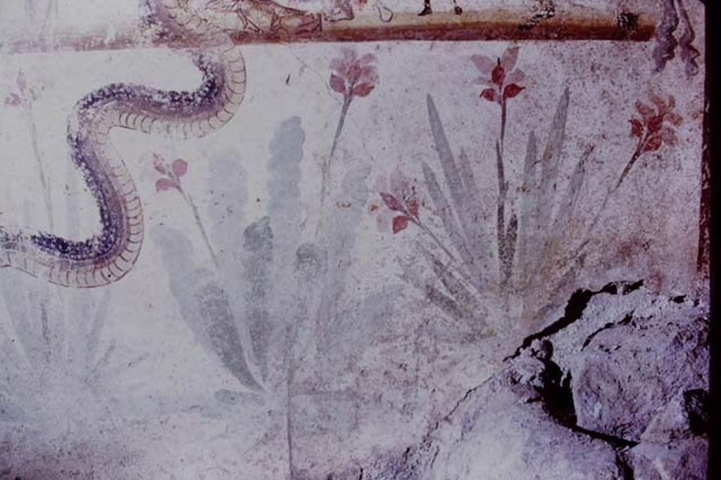 IX.13.1-3 Pompeii. 1970. Room 21, detail from lararium. Photo by Stanley A. Jashemski.
Source: The Wilhelmina and Stanley A. Jashemski archive in the University of Maryland Library, Special Collections (See collection page) and made available under the Creative Commons Attribution-Non Commercial License v.4. See Licence and use details. Jmit0053