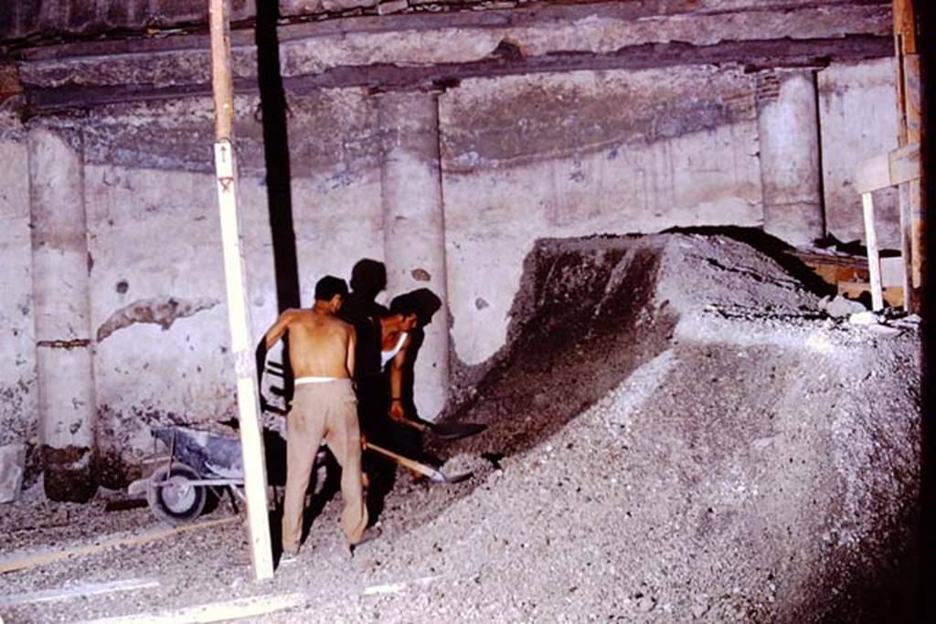 IX.13.1-3 Pompeii, 1973. Removal of lapilli near west wall of peristyle garden. Photo by Stanley A. Jashemski. 
Source: The Wilhelmina and Stanley A. Jashemski archive in the University of Maryland Library, Special Collections (See collection page) and made available under the Creative Commons Attribution-Non Commercial License v.4. See Licence and use details. J73f0268