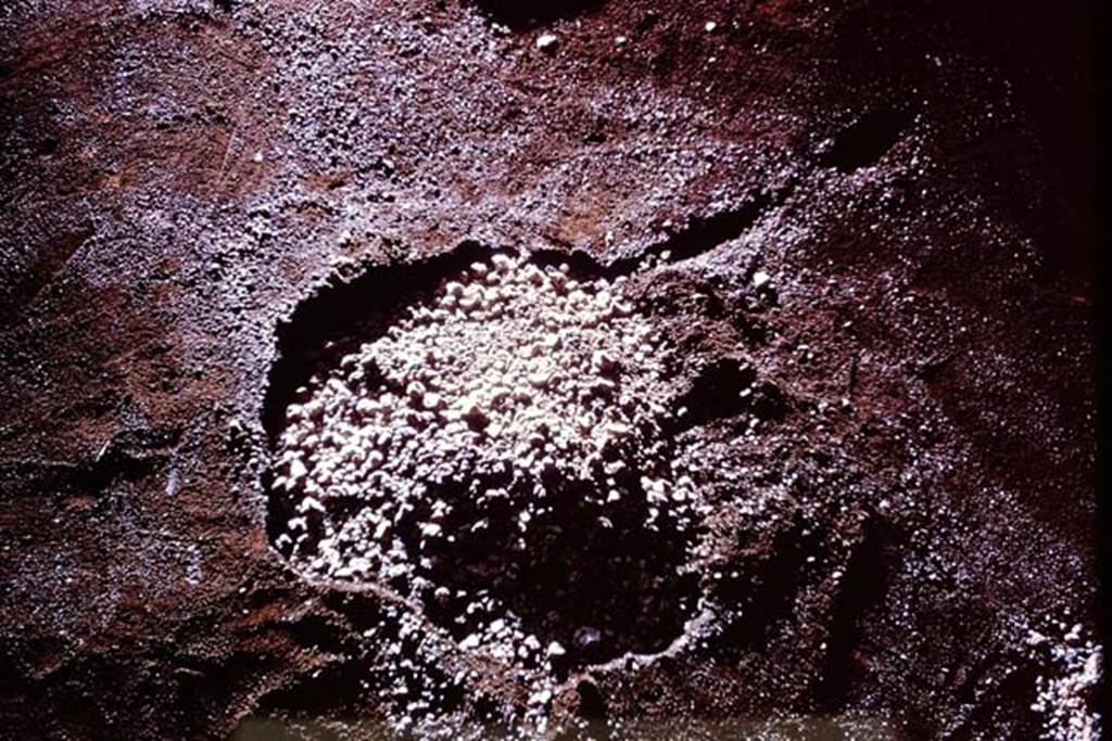 IX.13.1-3 Pompeii, 1973. Lapilli in the cavity. Photo by Stanley A. Jashemski. 
Source: The Wilhelmina and Stanley A. Jashemski archive in the University of Maryland Library, Special Collections (See collection page) and made available under the Creative Commons Attribution-Non Commercial License v.4. See Licence and use details. J73f0445