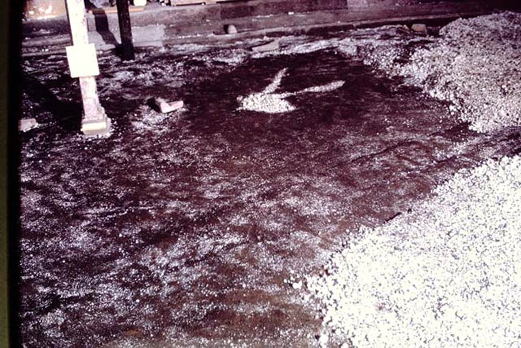 IX.13.1-3 Pompeii, 1973. Looking across peristyle area, showing strange mark in the original soil level. Photo by Stanley A. Jashemski. 
Source: The Wilhelmina and Stanley A. Jashemski archive in the University of Maryland Library, Special Collections (See collection page) and made available under the Creative Commons Attribution-Non Commercial License v.4. See Licence and use details. J73f0455