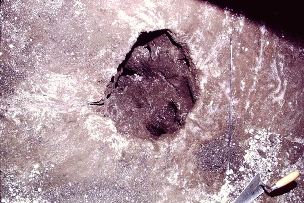 IX.13.1-3 Pompeii, 1973. Cleaned cavity. Photo by Stanley A. Jashemski. 
Source: The Wilhelmina and Stanley A. Jashemski archive in the University of Maryland Library, Special Collections (See collection page) and made available under the Creative Commons Attribution-Non Commercial License v.4. See Licence and use details. J73f0461