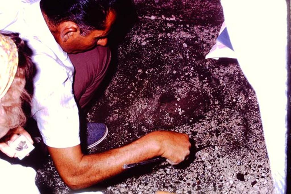IX.13.1-3 Pompeii, 1973. Careful digging out of a Jashemski “sombrero”.  Photo by Stanley A. Jashemski. 
Source: The Wilhelmina and Stanley A. Jashemski archive in the University of Maryland Library, Special Collections (See collection page) and made available under the Creative Commons Attribution-Non Commercial License v.4. See Licence and use details. J73f0482